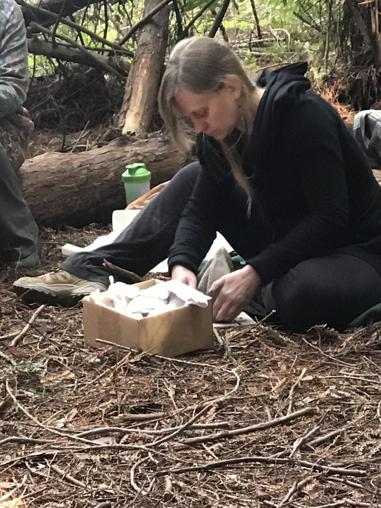 Lisa Schenkelberg sculpting.Feb 18.2018